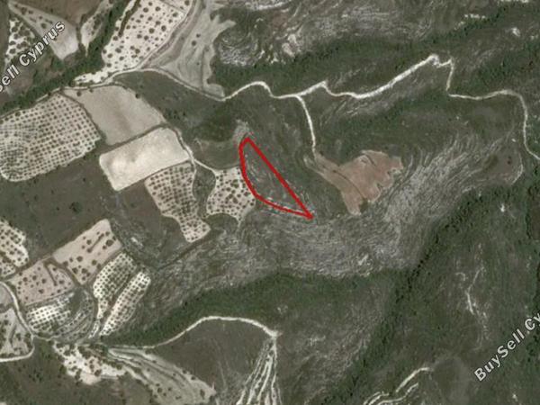 land for sale kritou tera paphos 8630107 image 16615596