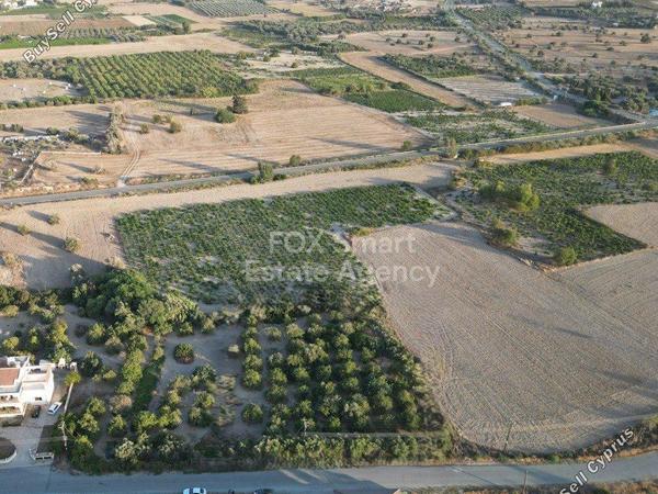plot for sale mazotos larnaca 1150107 image 5745940