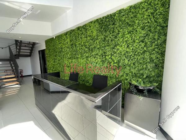 studio commercial building for rent mesa gitonia limassol 8759107 image 16532649