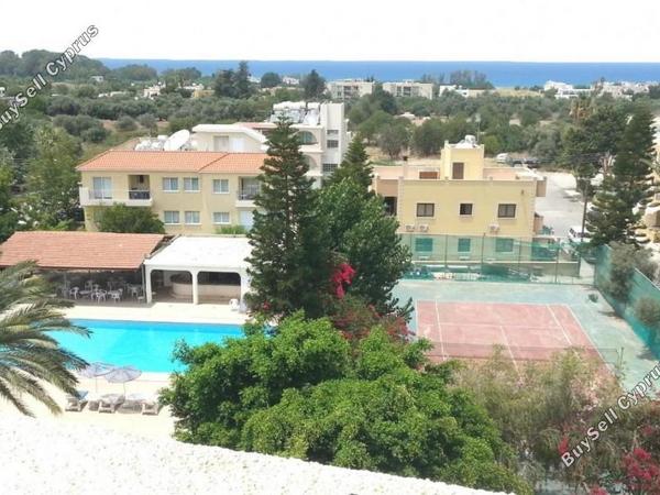 studio hotel for sale poli chrysochous paphos 7738207 image 15379024