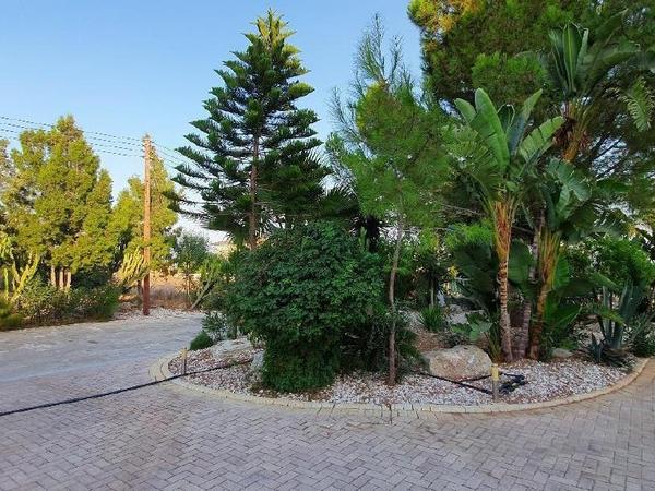 7 bedroom detached house for sale mazotos larnaca 1662307 image 5852468