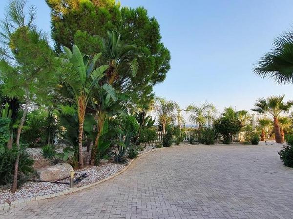 7 bedroom detached house for sale mazotos larnaca 1662307 image 5852471