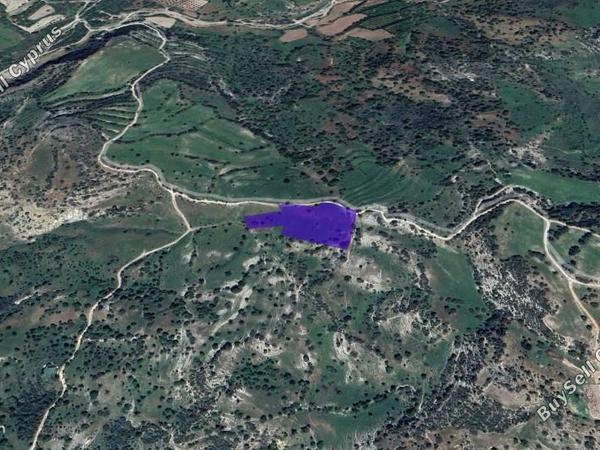 land for sale episkopi pafou paphos 1354307 image 5600080