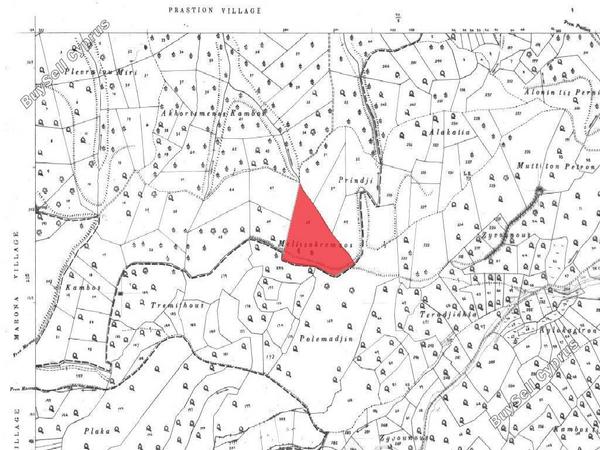 land for sale prastio paphos 1578307 image 15598201