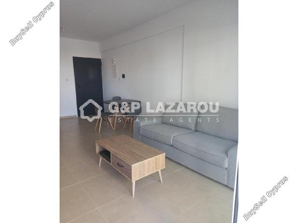 1 bedroom apartment for rent aglantzia nicosia 7500407 image 16334485