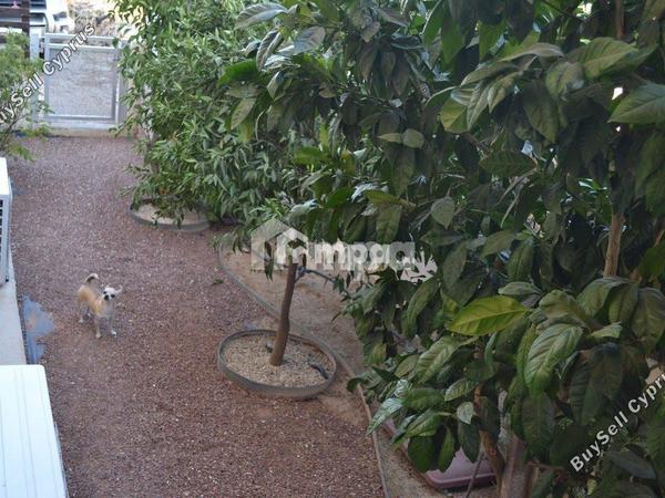 3 bedroom detached house for sale palaiometocho nicosia 1728407 image 6229355