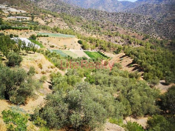 land for sale arakapas limassol 1861407 image 9325095