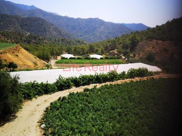 land for sale arakapas limassol 1861407 image 9325096