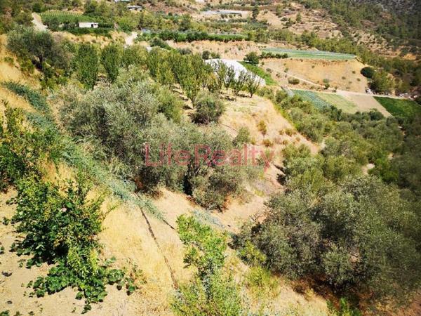 land for sale arakapas limassol 1861407 image 9325097