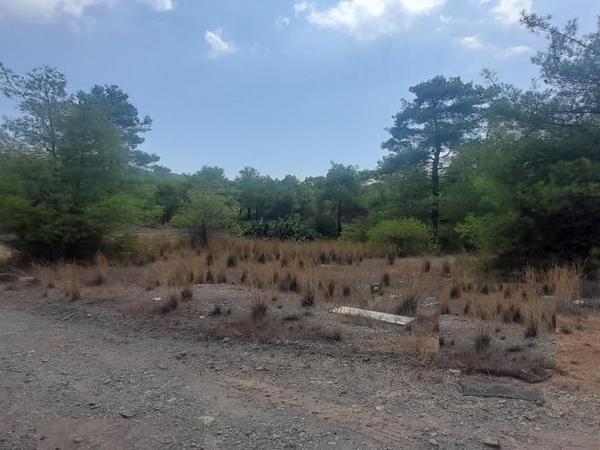 land for sale shia nicosia 1169407 image 16182209