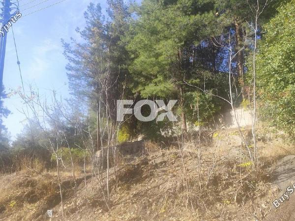 plot for sale pera pedi limassol 7513407 image 11110017