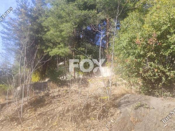 plot for sale pera pedi limassol 7513407 image 11110018