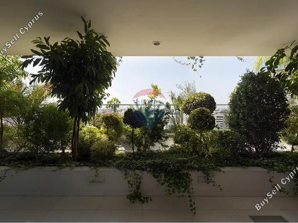 studio office for rent nicosia municipality nicosia 8059407 image 14143729