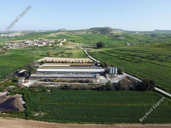 studio warehouse for sale petrofani larnaca 1211407 image 14351547