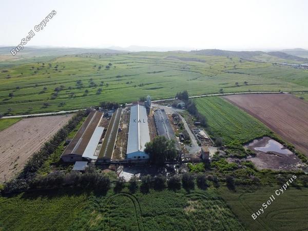 studio warehouse for sale petrofani larnaca 1211407 image 14351548