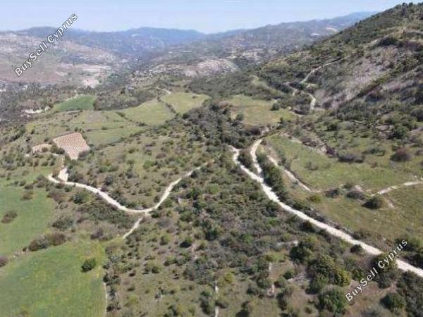 land for sale dora limassol 7805507 image 15596368