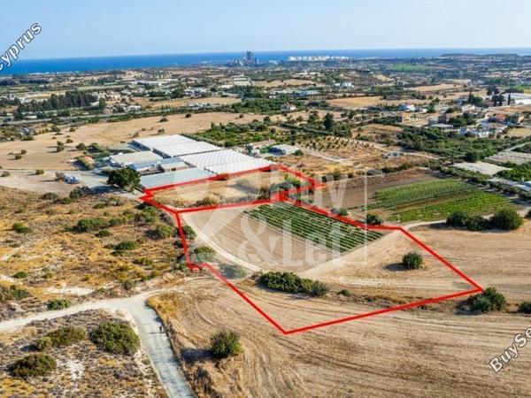plot off market kalavasos larnaca 1444507 image 5110055