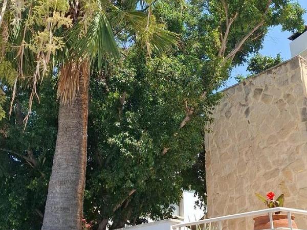 4 bedroom detached house for sale tsirion limassol 9026607 image 18562046