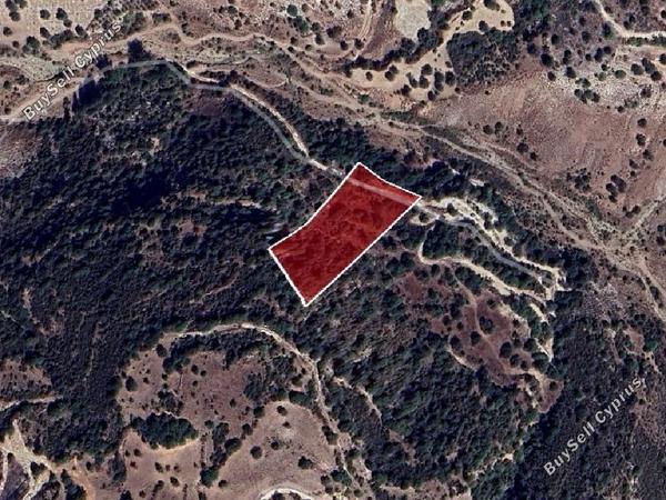 land for sale choulou paphos 1638607 image 15598088