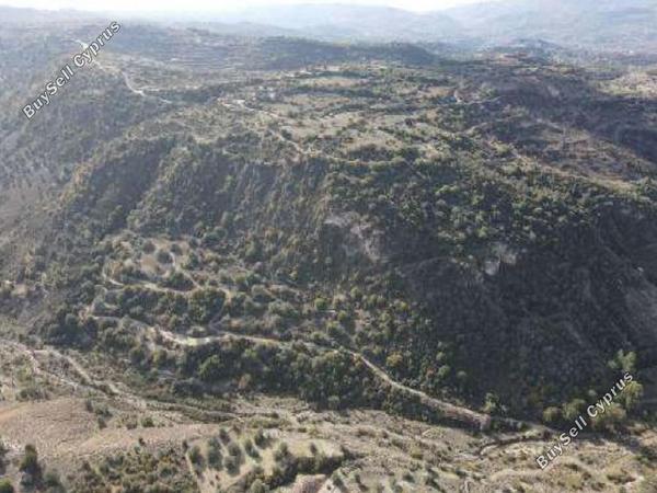 land for sale choulou paphos 1638607 image 15598089