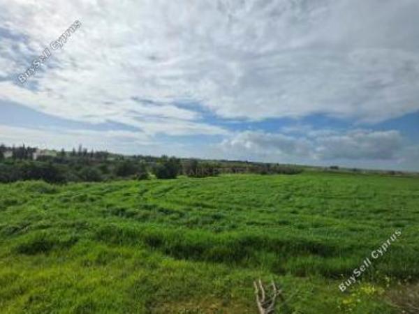 land for sale frenaros famagusta 8716607 image 16301381