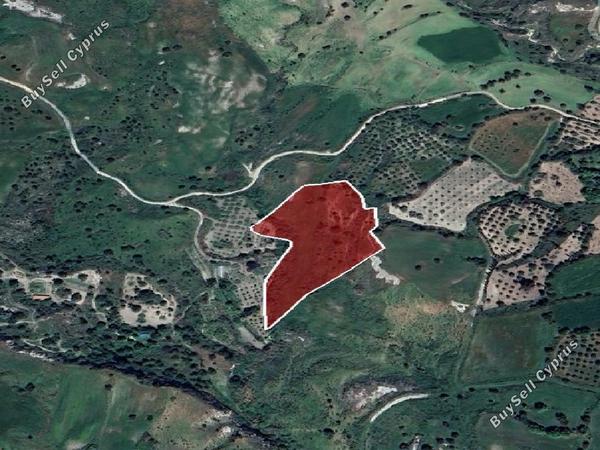 land for sale lasa paphos 1443607 image 15598605