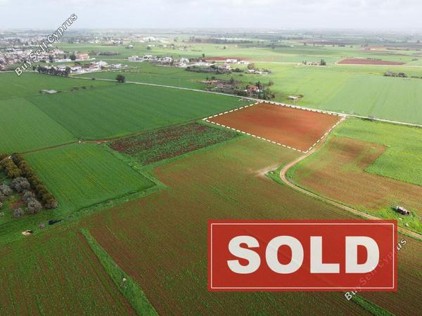 land sold avgorou famagusta 8244607 image 13835964