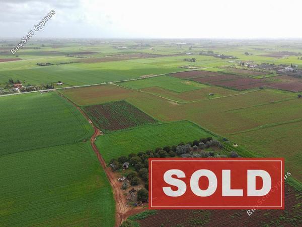 land sold avgorou famagusta 8244607 image 13835967