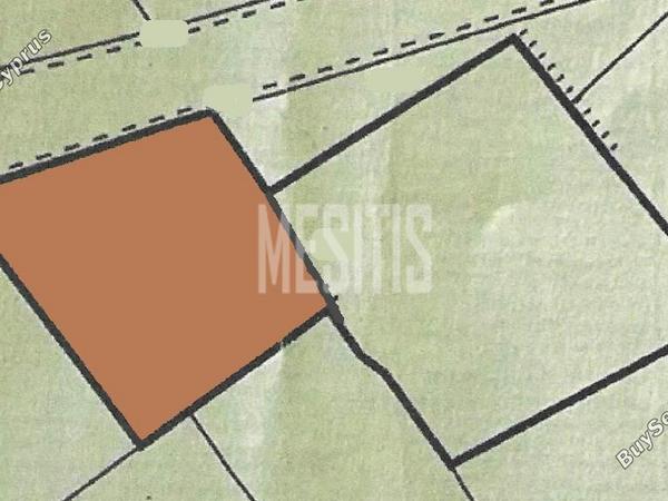 plot for sale psimolofou nicosia 975607 image 10487864