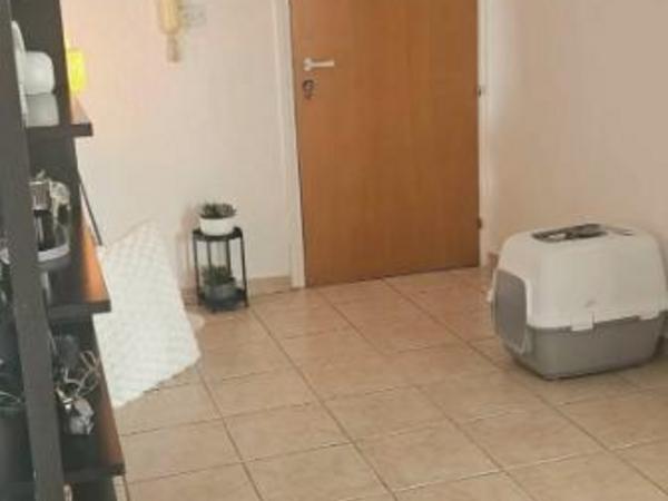 1 bedroom apartment for rent dasoupoli nicosia 8565707 image 16336998