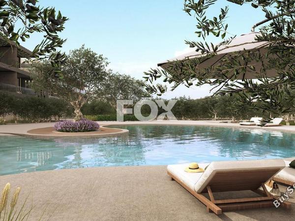 3 bedroom apartment for sale anarita paphos 8710707 image 16268835