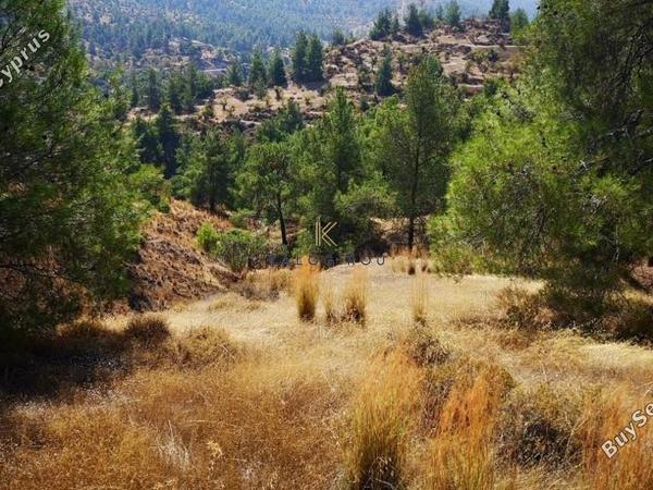 land for sale agios theodoros soleas nicosia 1194707 image 5569476