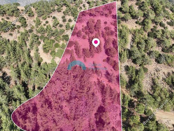 land for sale gerakies nicosia 8607707 image 15777363