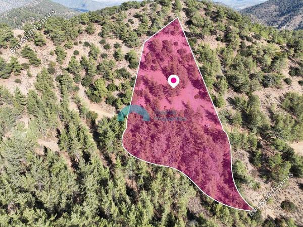 land for sale gerakies nicosia 8607707 image 15777364