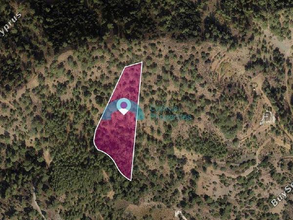 land for sale gerakies nicosia 8607707 image 15777367