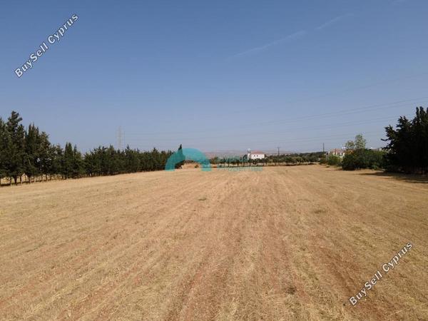 land for sale kouklia pafou paphos 1938707 image 16013624