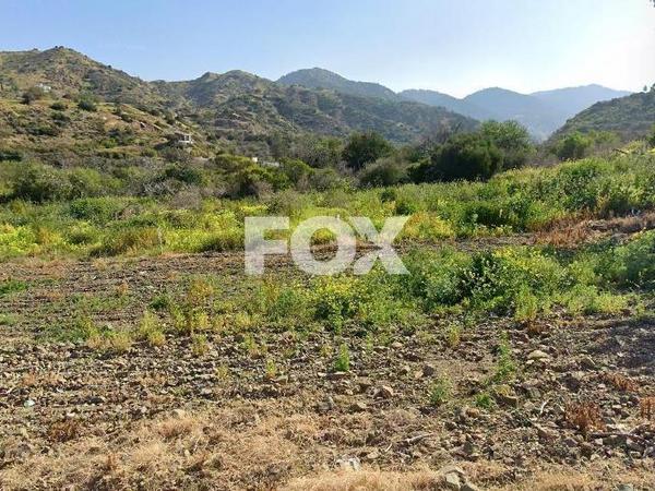 land for sale pomos paphos 8254707 image 14832008