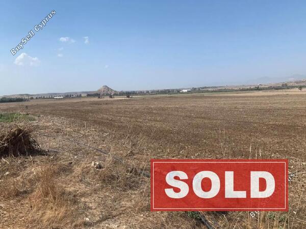 land sold athienou larnaca 1016707 image 3340474