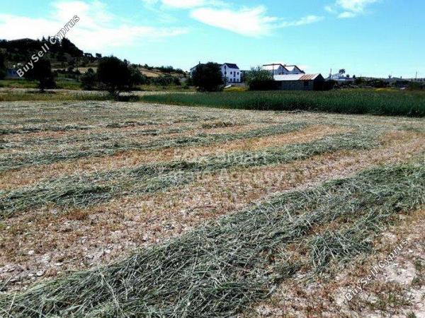 plot for sale alampra nicosia 1152707 image 5160272