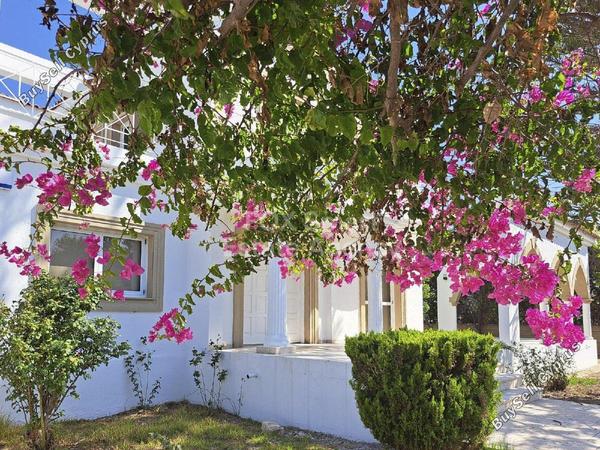 3 bedroom detached house for rent pervolia larnaca 8797807 image 16705077