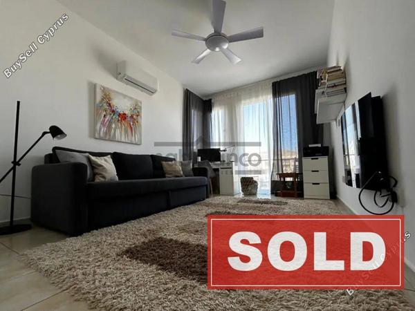 3 bedroom detached house sold oroklini larnaca 8749807 image 16524890