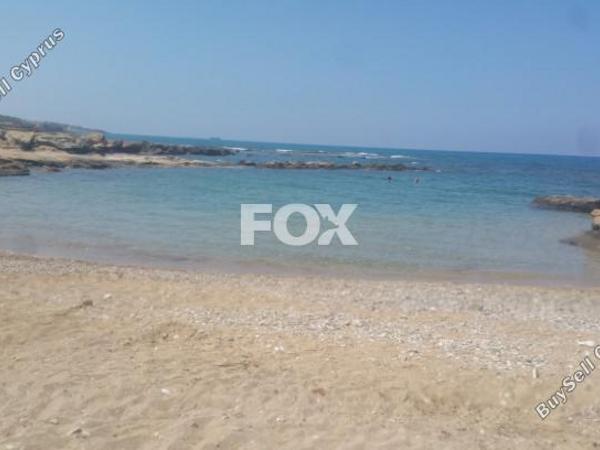 5 bedroom detached house for sale kissonerga paphos 7740807 image 10230223