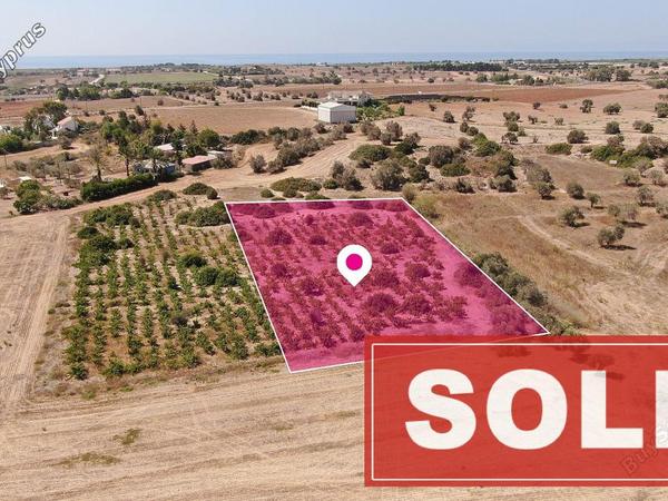 land sold mazotos larnaca 1171807 image 2007038