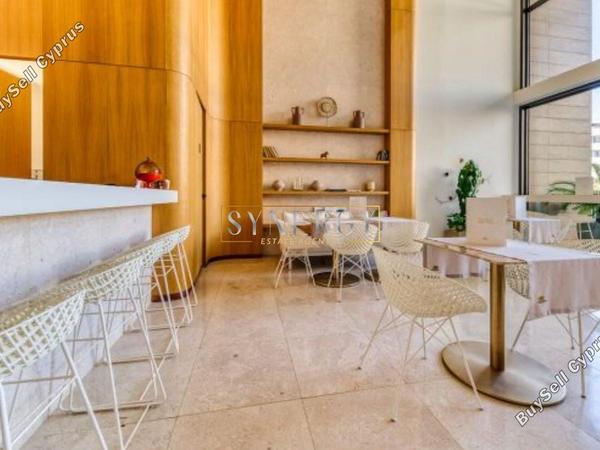 1 bedroom apartment for rent potamos germasogeias limassol 1215907 image 16338289
