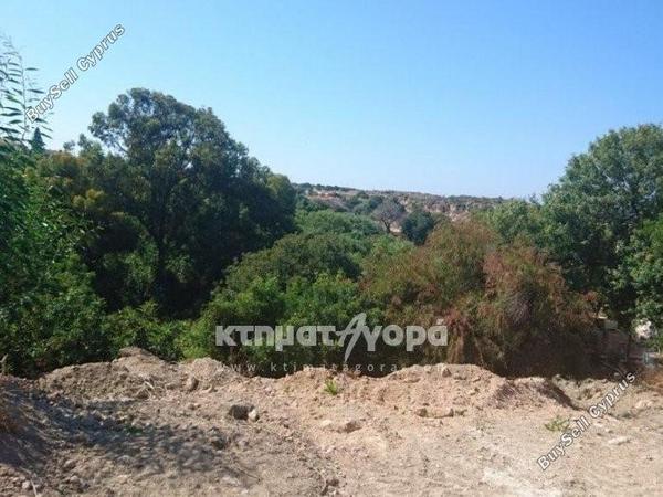land for sale anavargos paphos 1355907 image 5646296