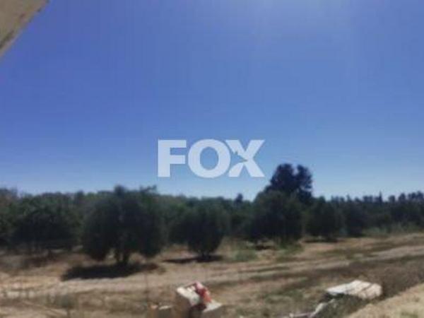 land for sale asomatos lemesou limassol 1146907 image 5562425