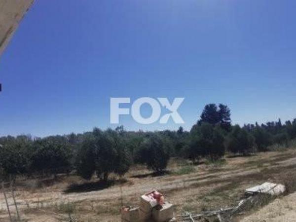 land for sale asomatos lemesou limassol 1146907 image 5562427