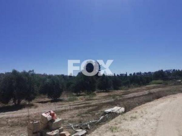 land for sale asomatos lemesou limassol 1146907 image 5562431