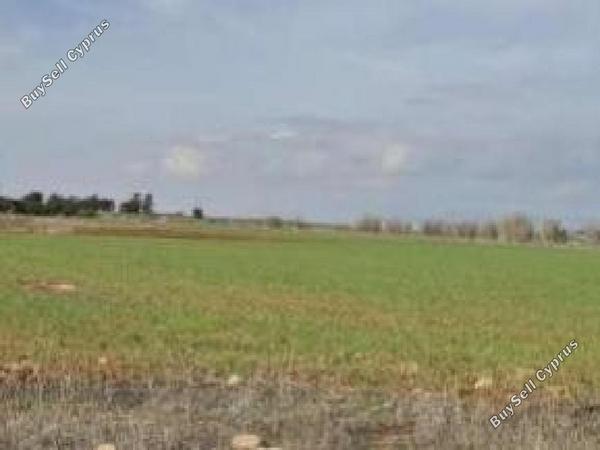 land for sale frenaros famagusta 8804907 image 16803923