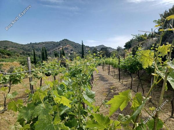 plot for sale kellaki limassol 8704907 image 16239185